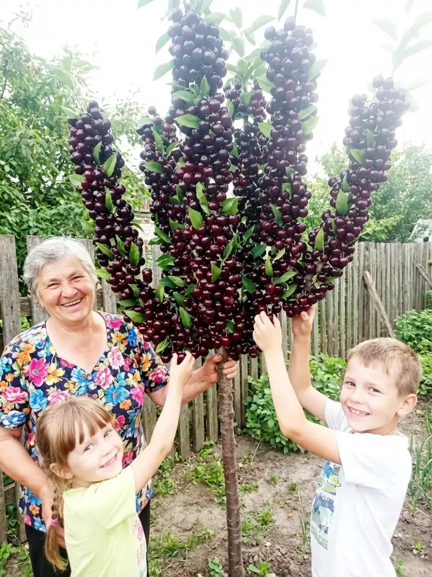 Фото від покупця