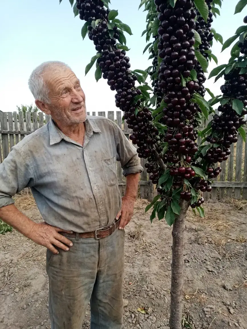 Фото від покупця
